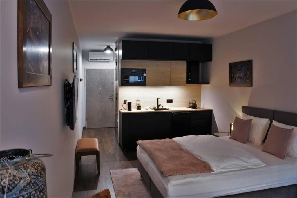 Boutique 109 - Old City, Luxury Apt. With A Garage Kraków Zewnętrze zdjęcie
